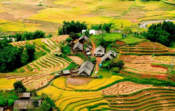 Bản Tả Phìn Sapa
